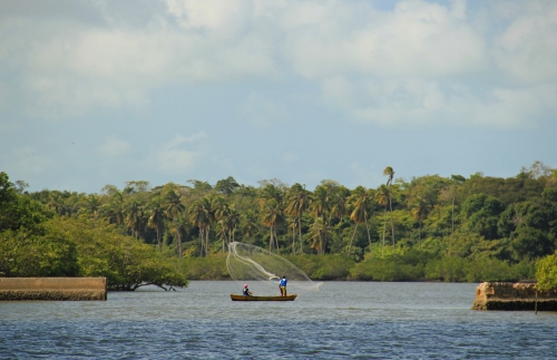 Pesca Artesanal