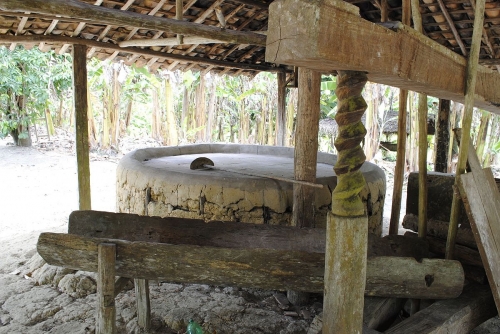 A histÃ³ria das Casas de Farinha